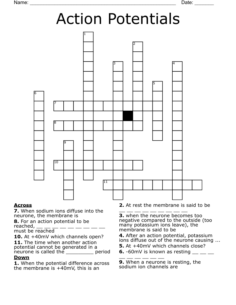 Action Potentials Crossword