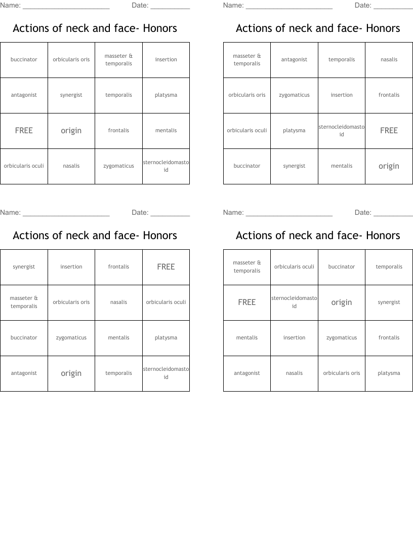 Actions of neck and face- Honors Bingo Cards