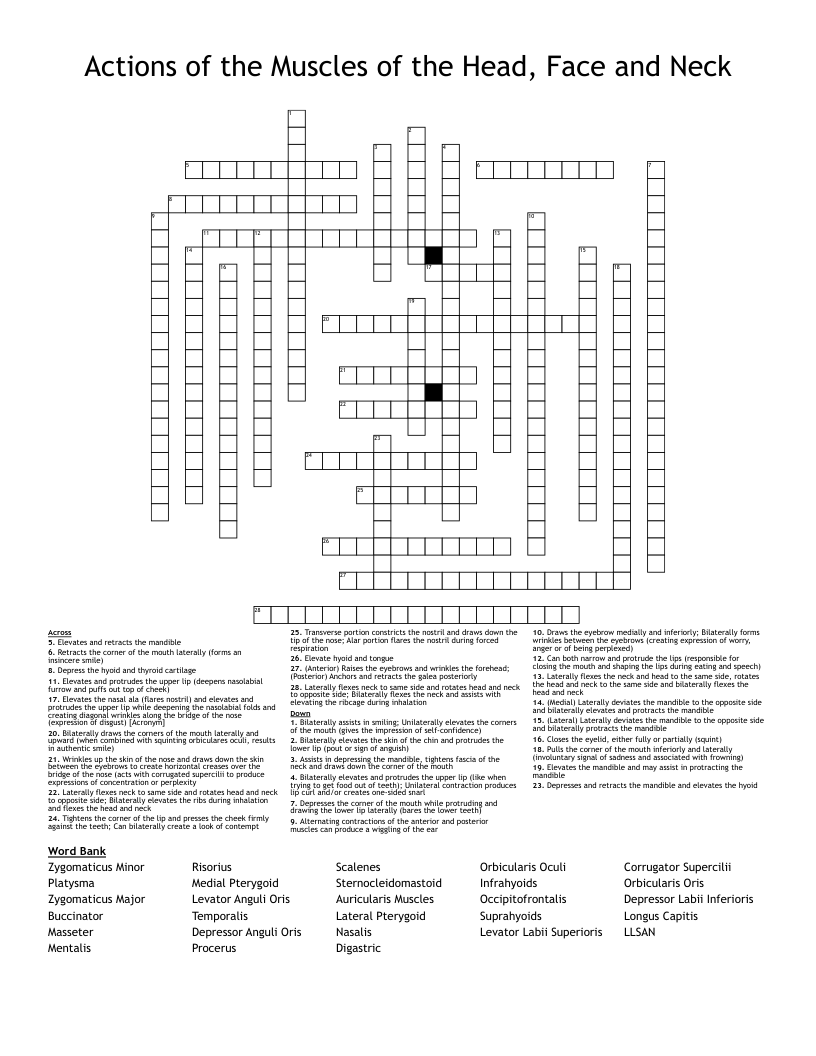 Actions of the Muscles of the Head, Face and Neck Crossword