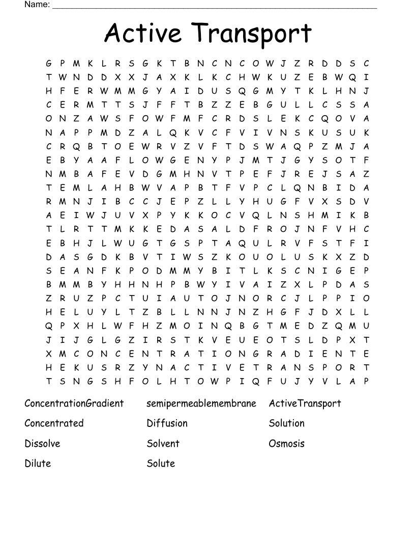 Active Transport Word Search