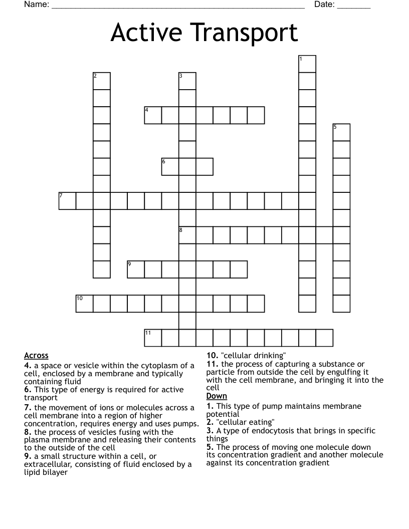 Active Transport Crossword