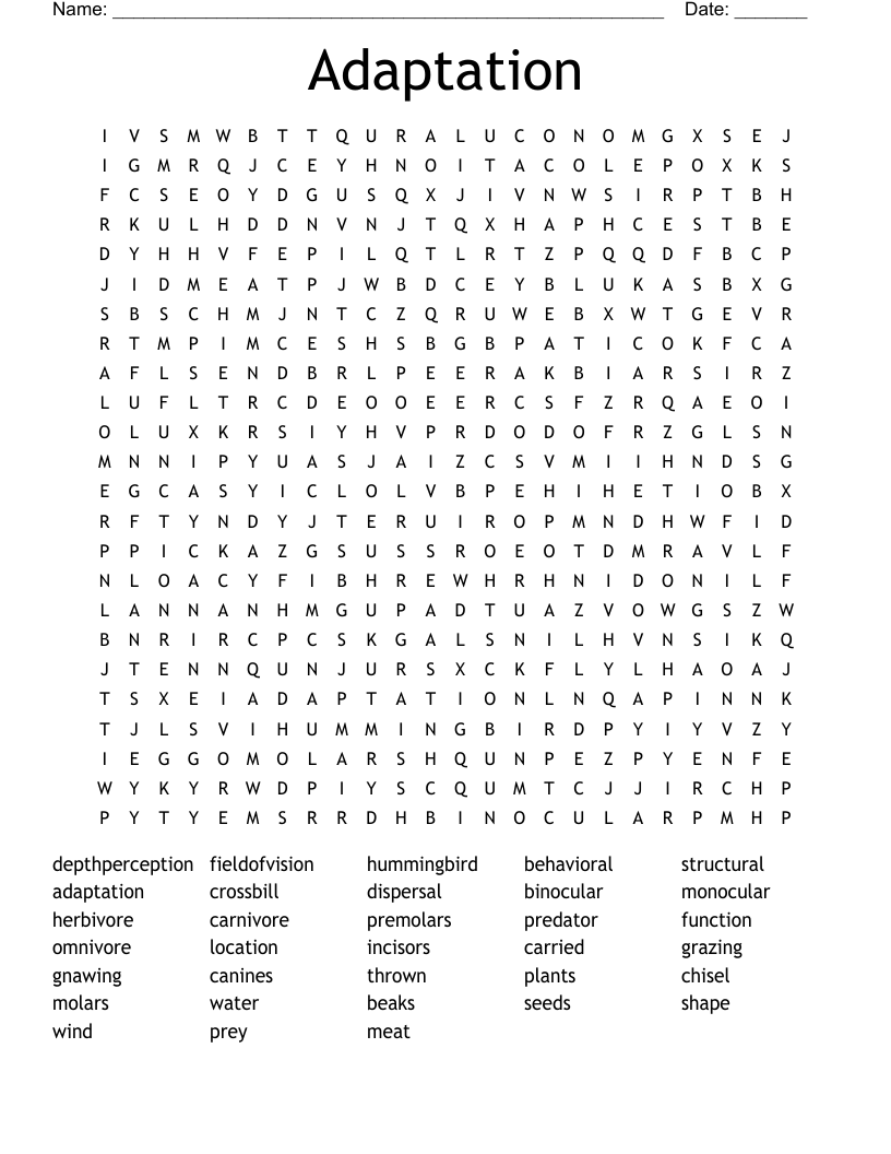 Adaptation Word Search