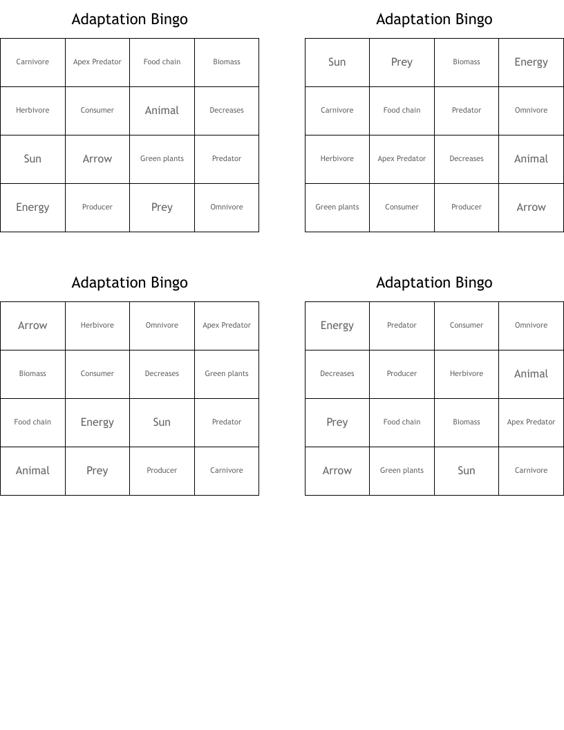 Adaptation Bingo