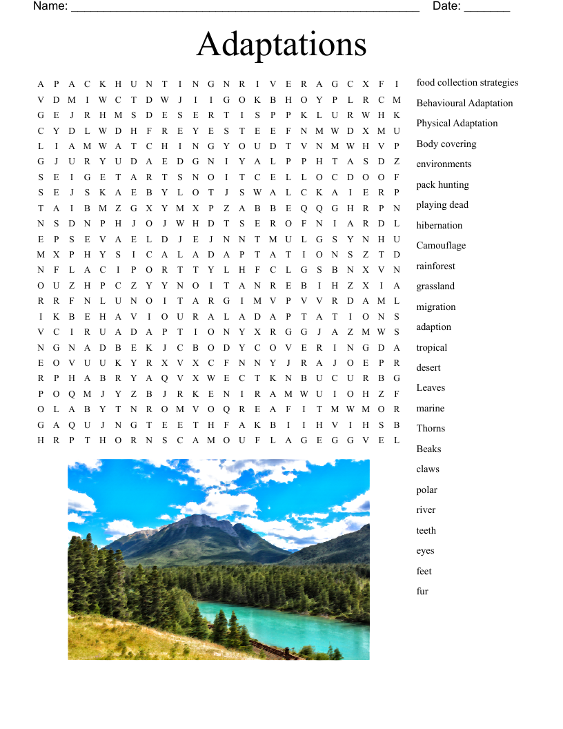 Adaptations Word Search