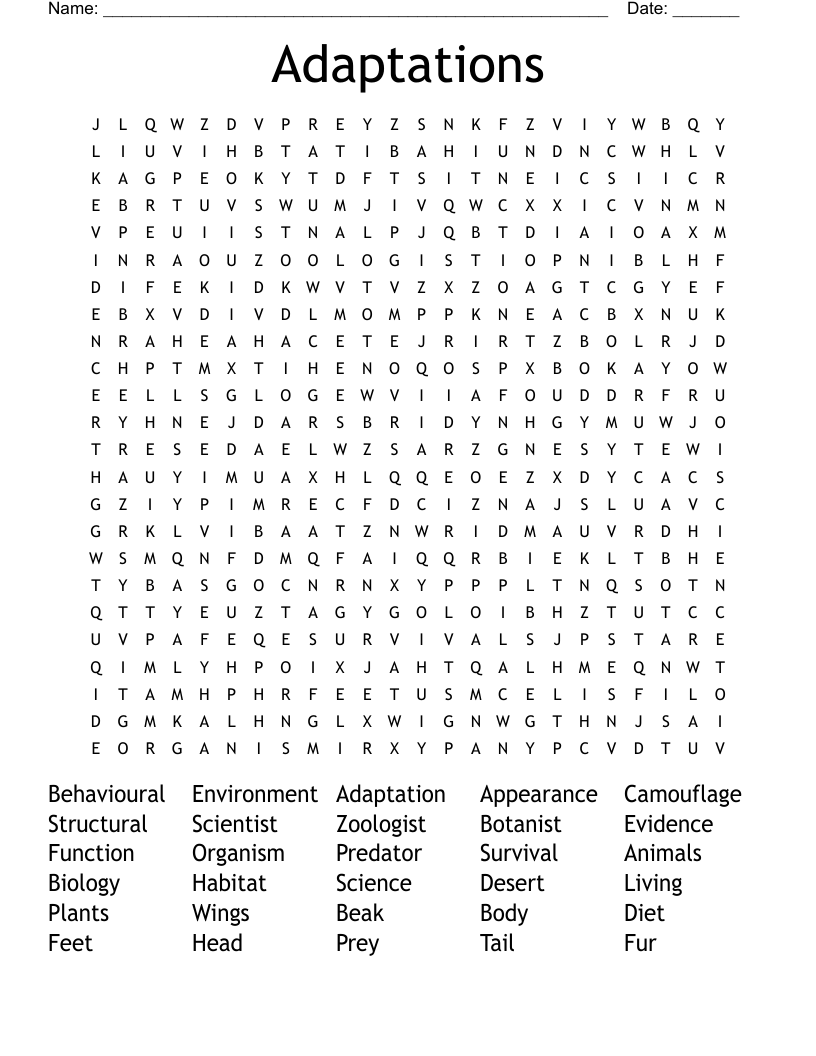 Adaptations Word Search