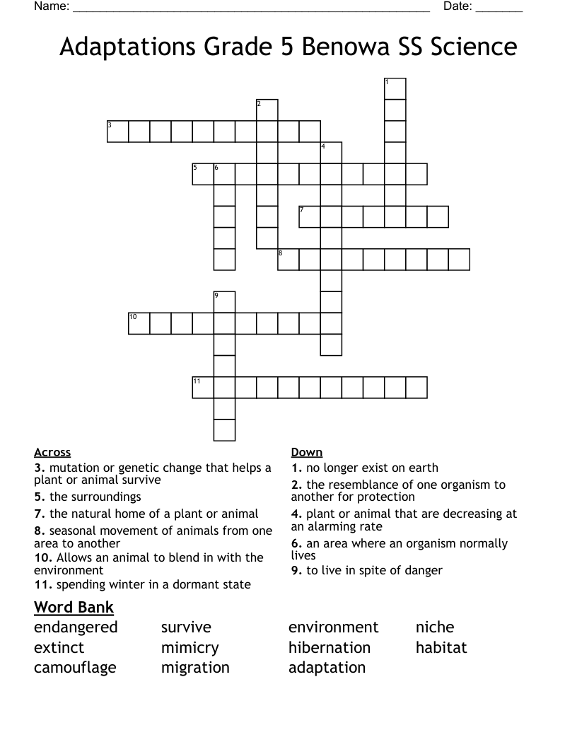 Adaptations Grade 5 Benowa SS Science Crossword