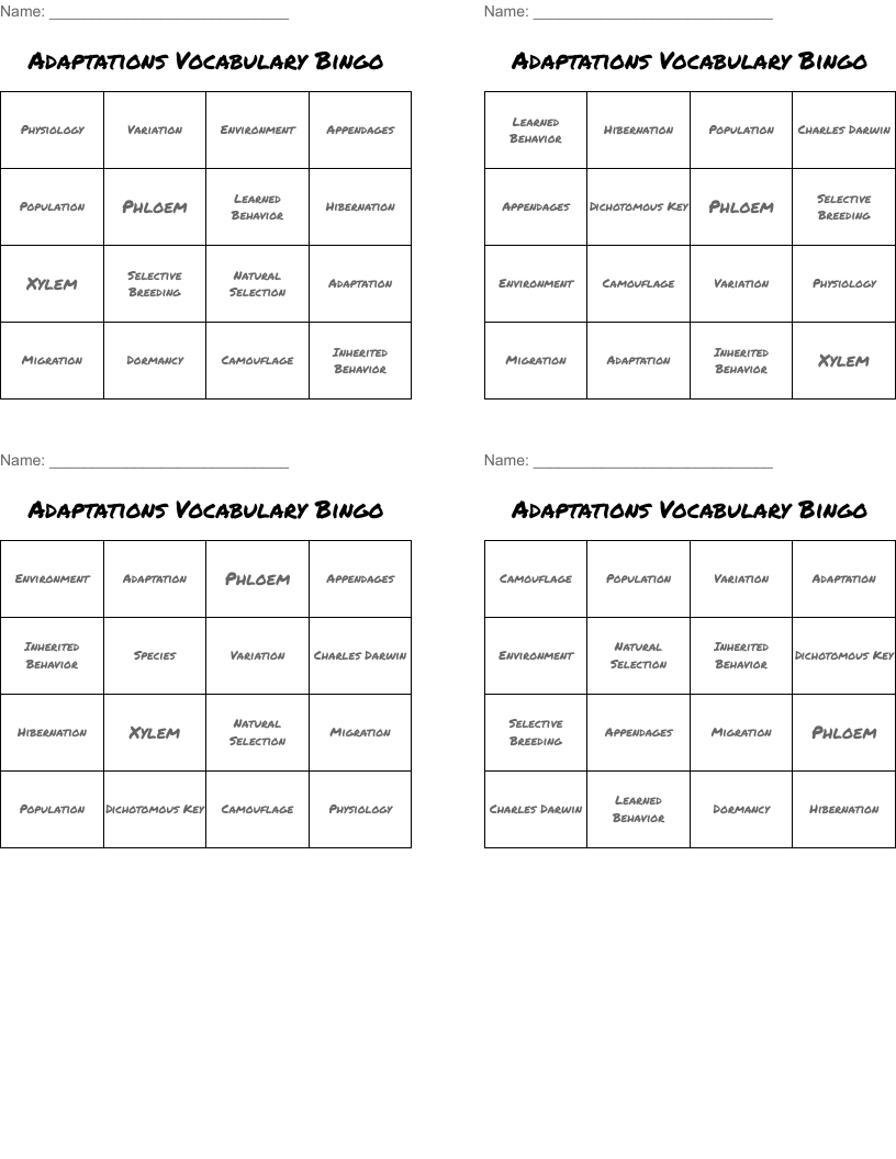 Adaptations Vocabulary Bingo