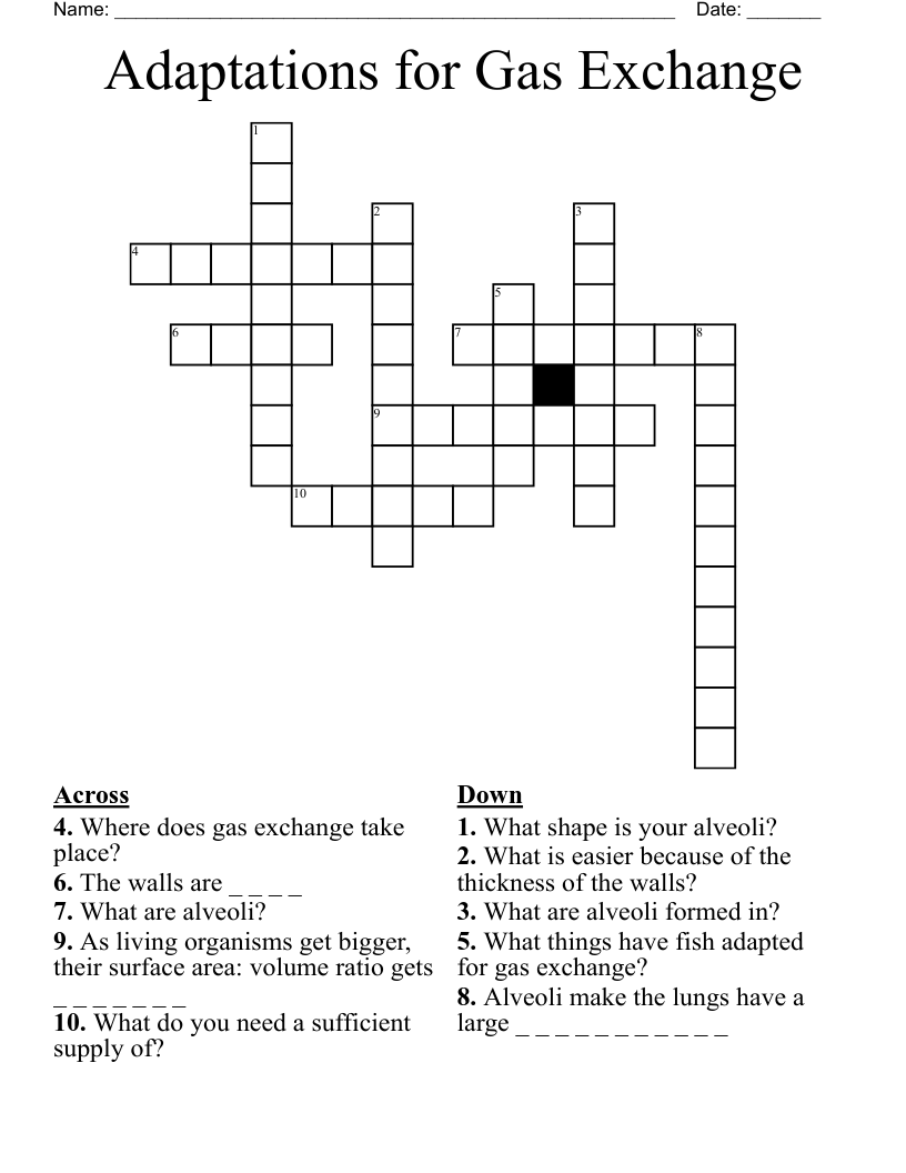 Adaptations for Gas Exchange Crossword