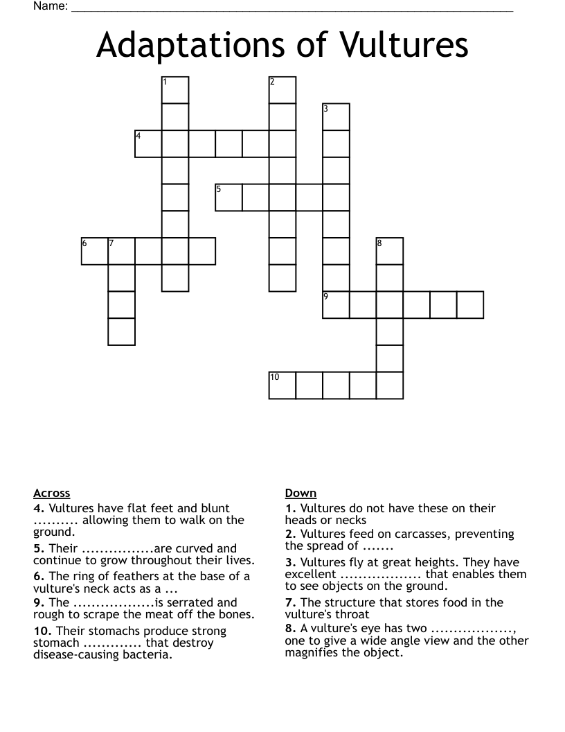 Adaptations of Vultures Crossword