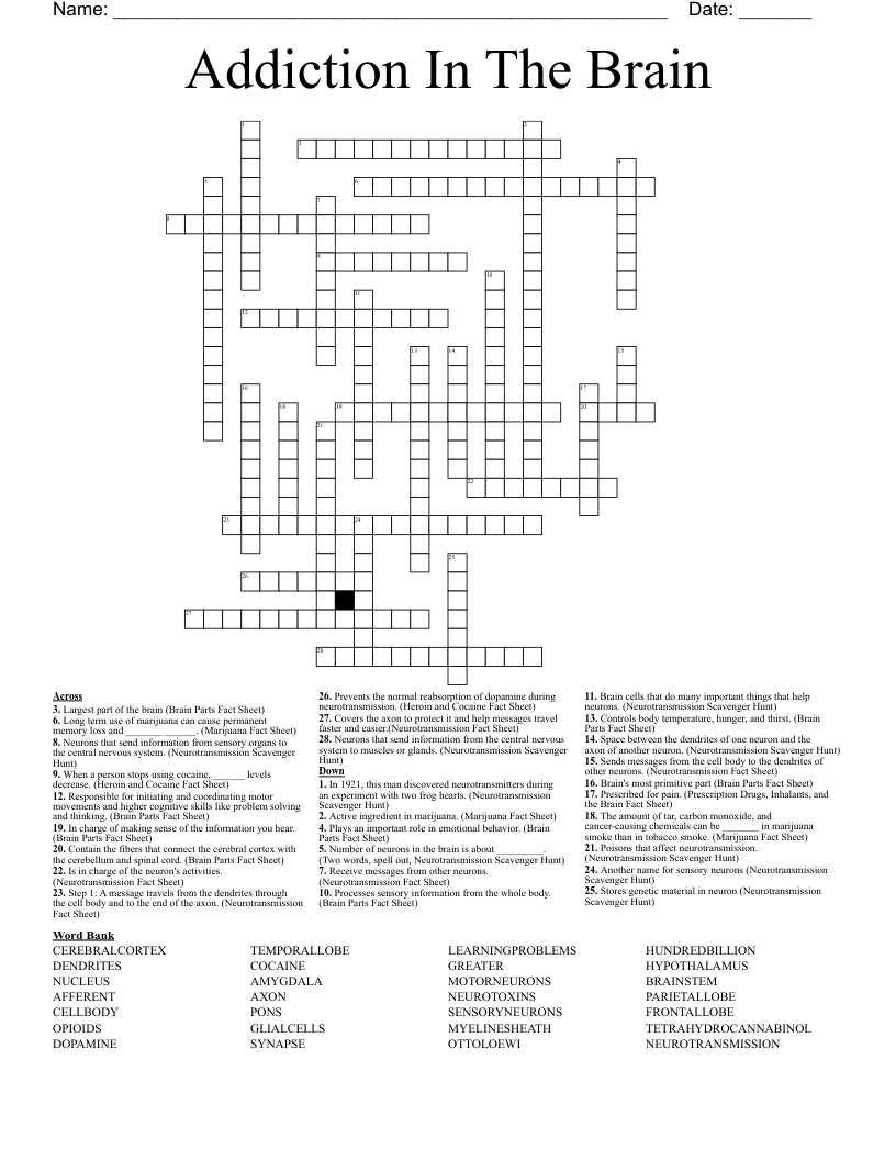 Addiction In The Brain Crossword