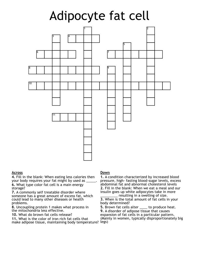 Adipocyte fat cell Crossword