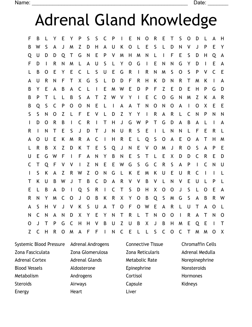 Adrenal Gland Knowledge Word Search