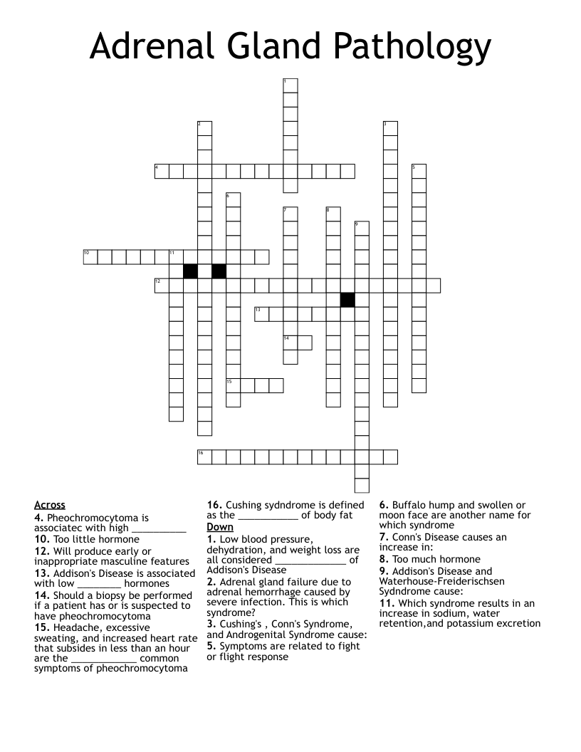 Adrenal Gland Pathology  Crossword