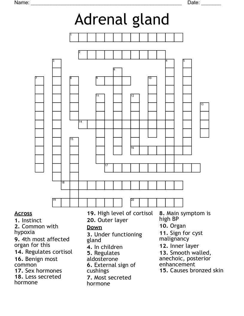 Adrenal gland Crossword