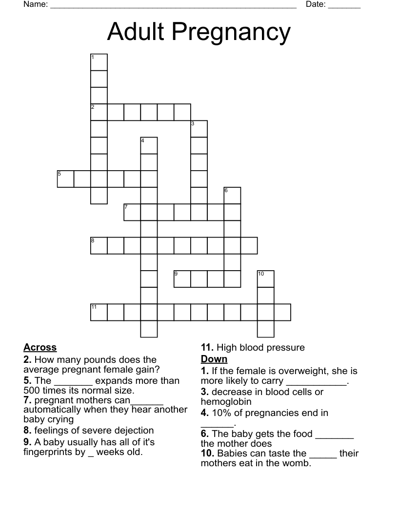 Adult Pregnancy Crossword