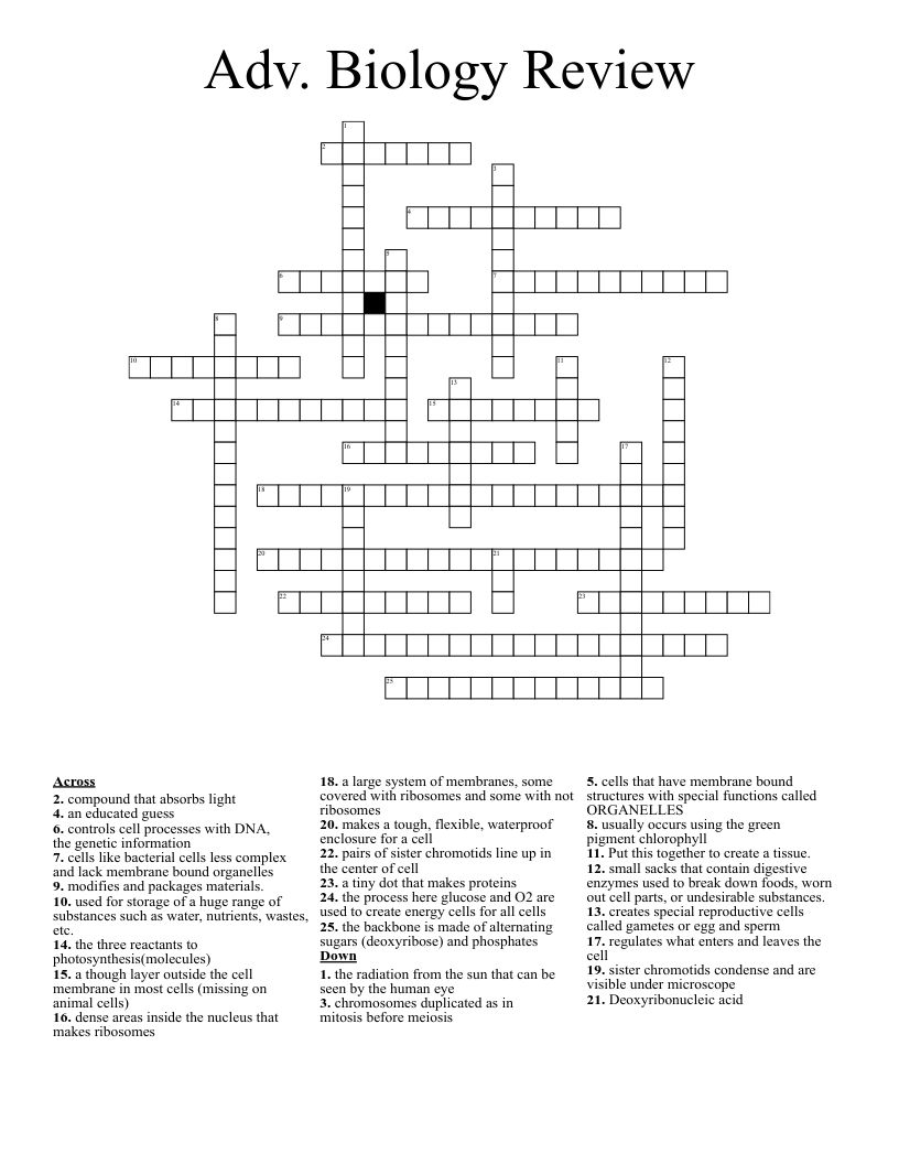 Adv. Biology Review Crossword