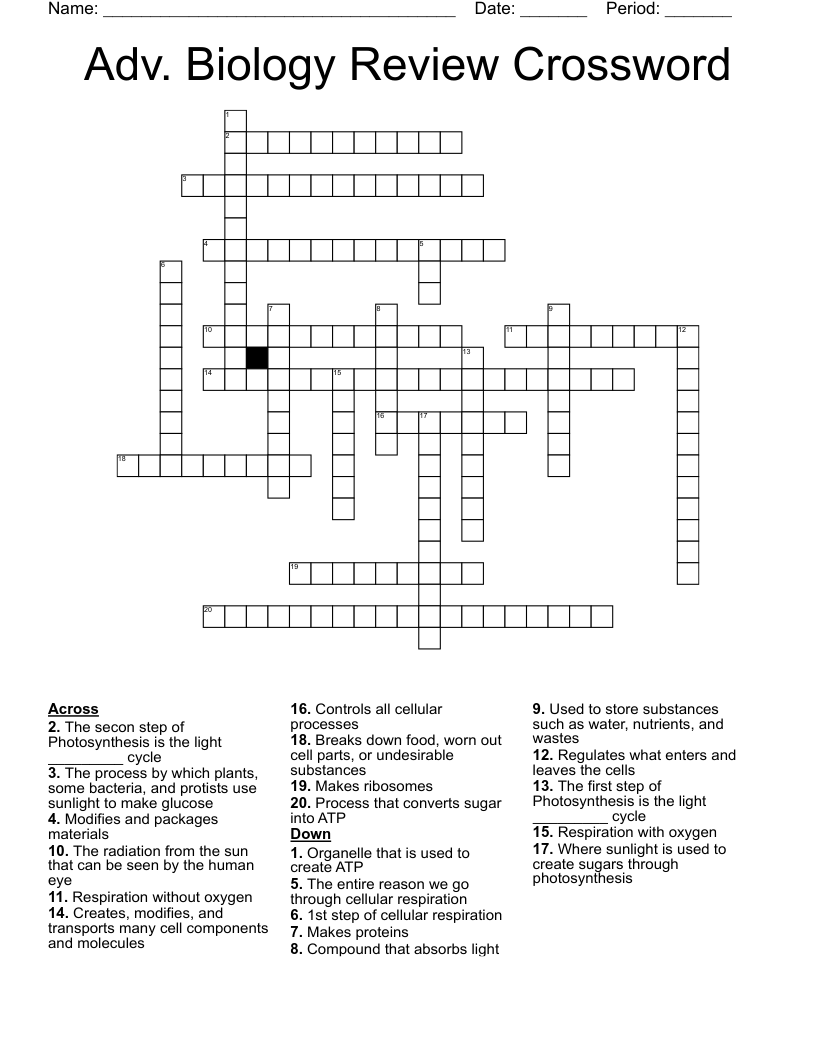 Adv. Biology Review Crossword