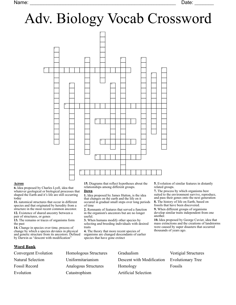Adv. Biology Vocab Crossword