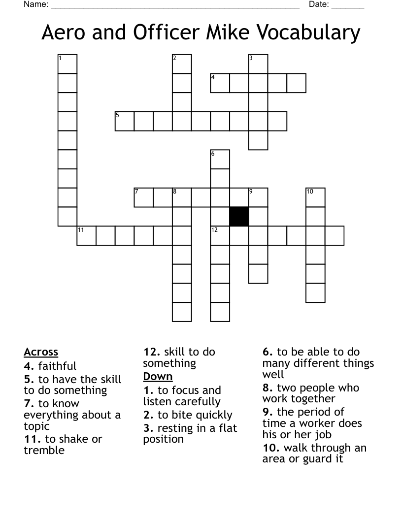 Aero and Officer Mike Vocabulary Crossword
