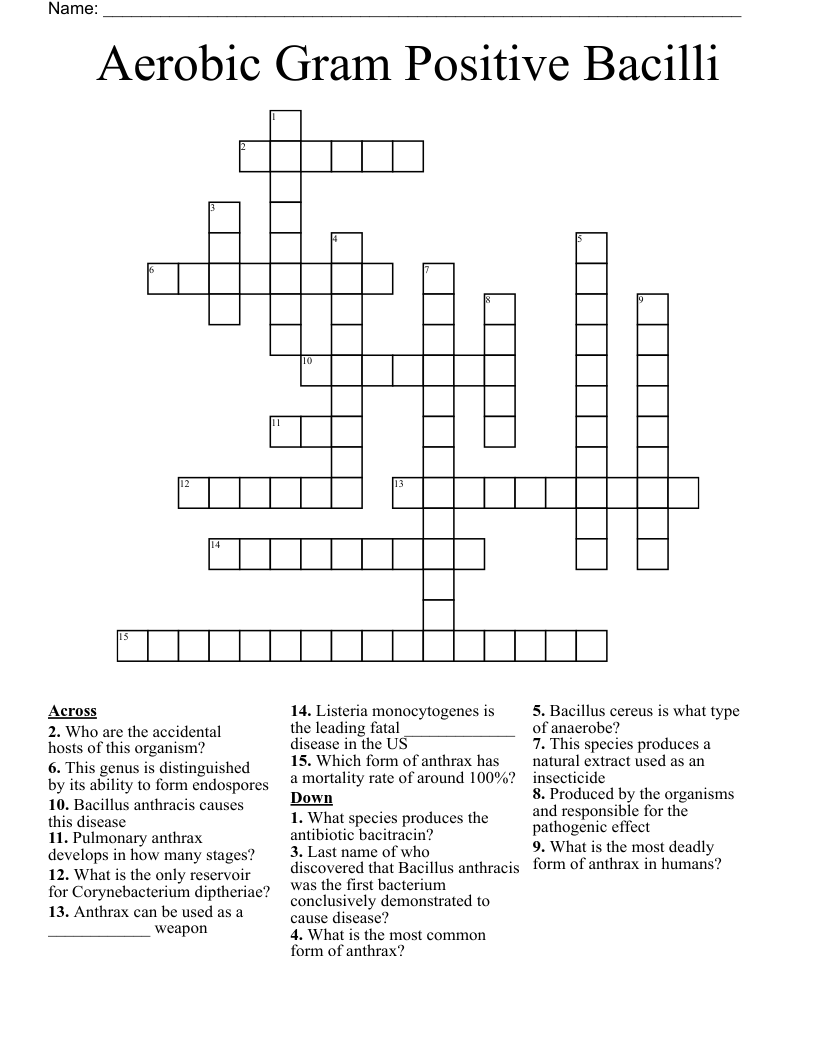 Aerobic Gram Positive Bacilli Crossword