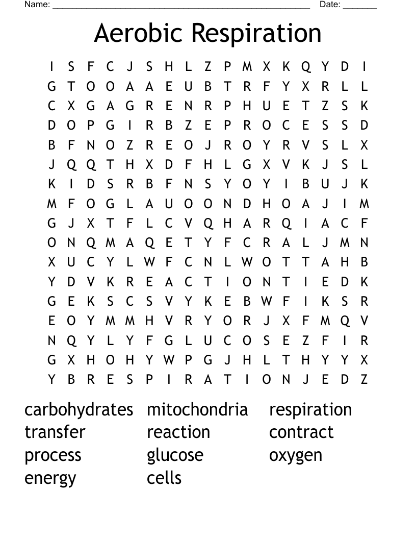 Aerobic Respiration Word Search