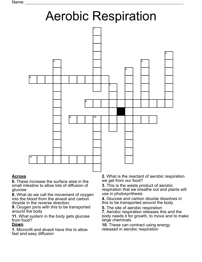 Aerobic Respiration Crossword