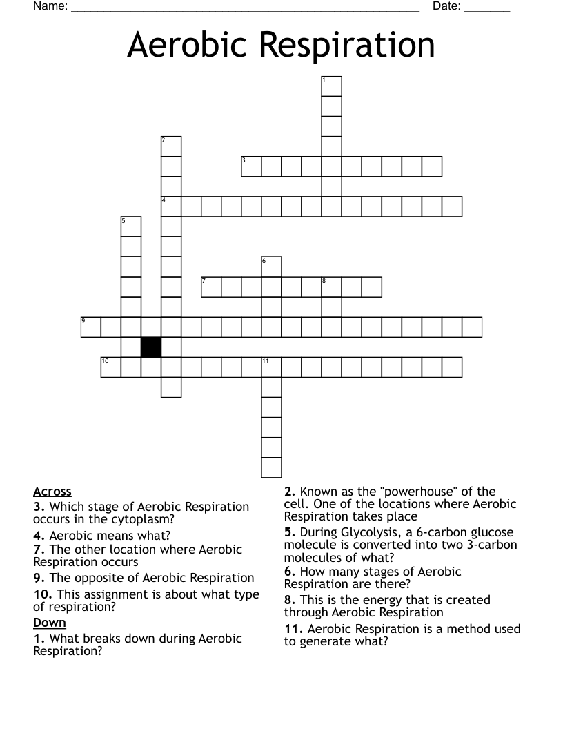 Aerobic Respiration Crossword