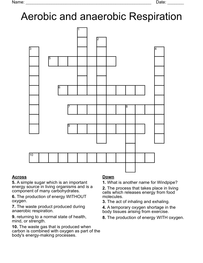 Aerobic and anaerobic Respiration Crossword