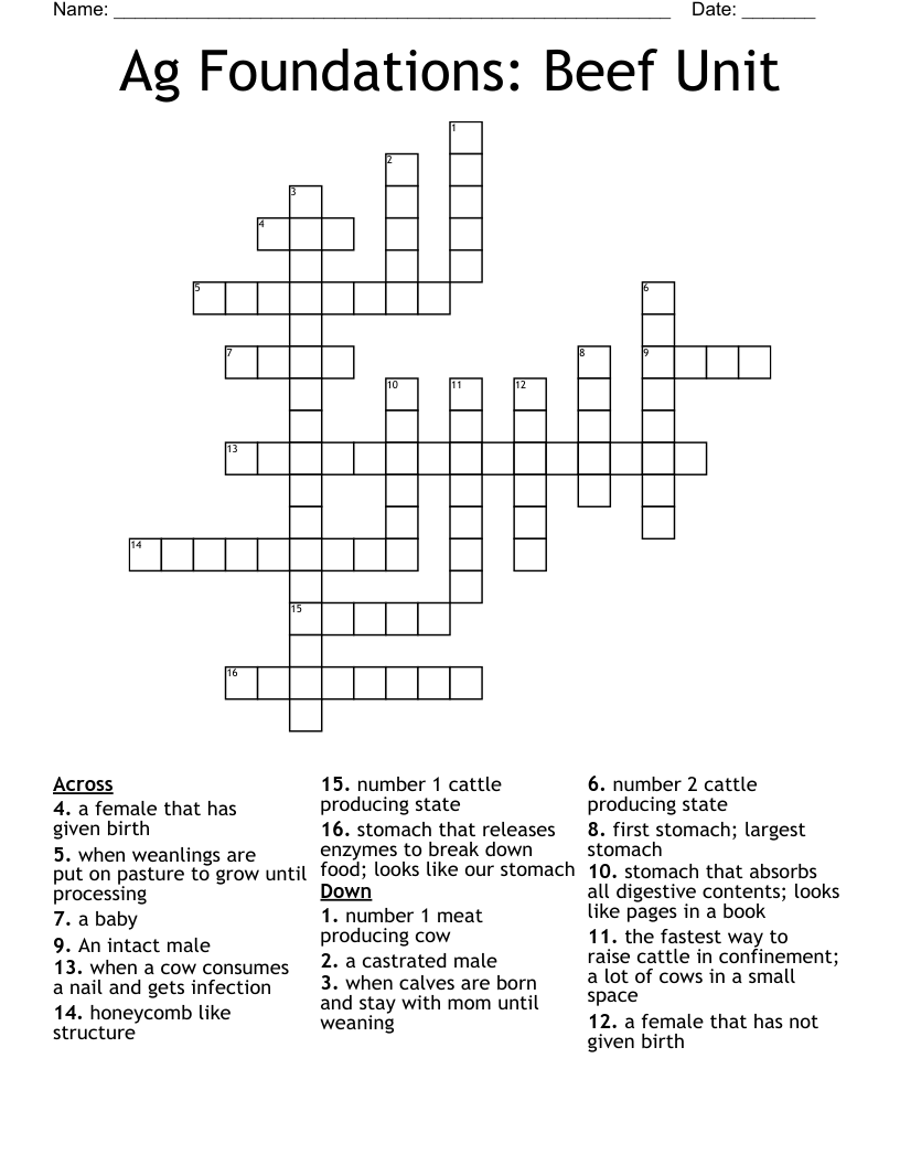 Ag Foundations: Beef Unit  Crossword