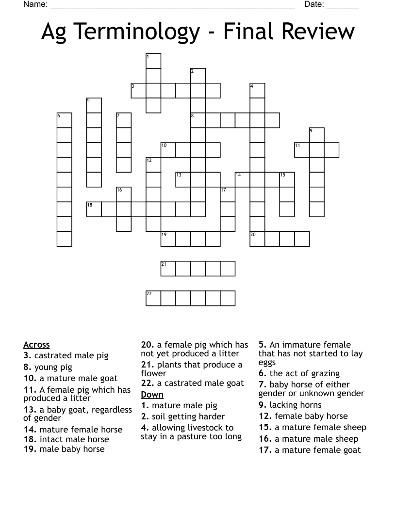 Ag Terminology - Final Review Crossword