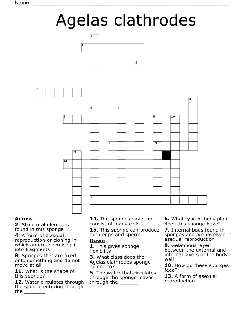 Agelas clathrodes Crossword