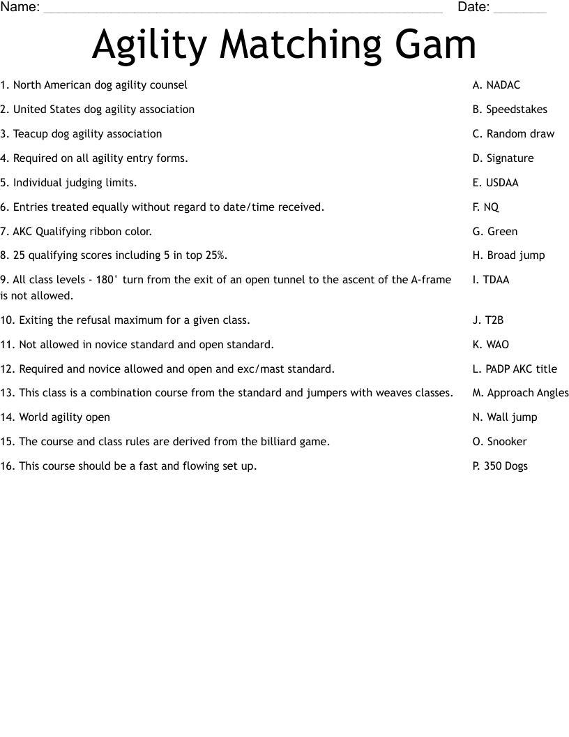 Agility Matching Gam Worksheet