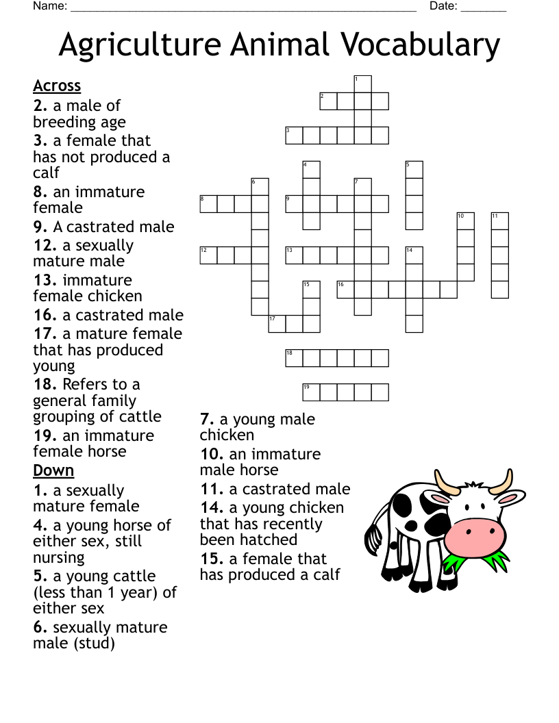 Agriculture Animal Vocabulary Crossword