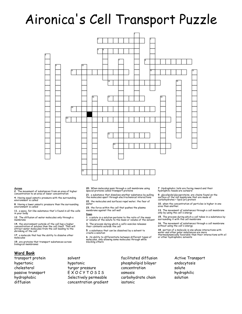 Aironica's Cell Transport Puzzle Crossword