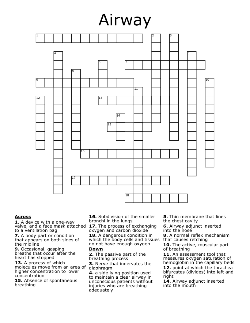 Airway Crossword