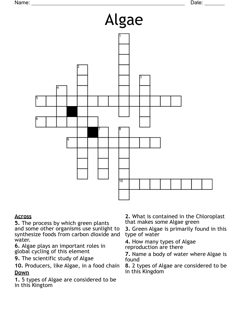 Algae  Crossword
