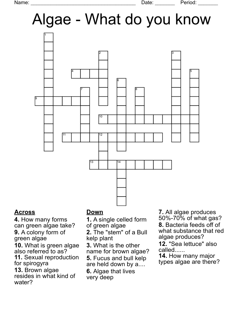 Algae - What do you know Crossword