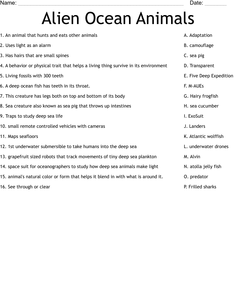 Alien Ocean Animals Worksheet