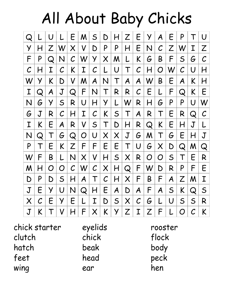 All About Baby Chicks Word Search
