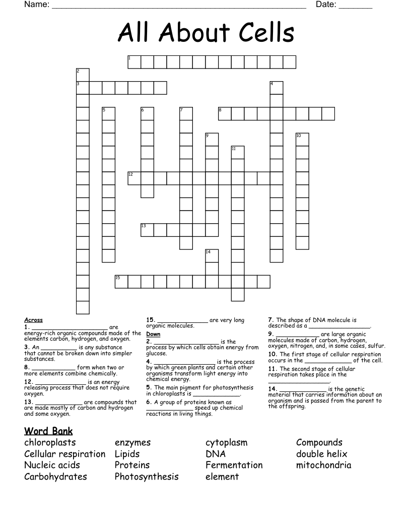 All About Cells Crossword