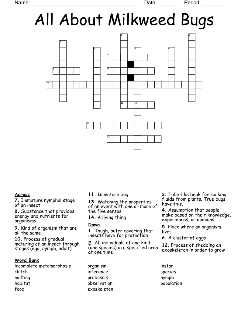 All About Milkweed Bugs Crossword
