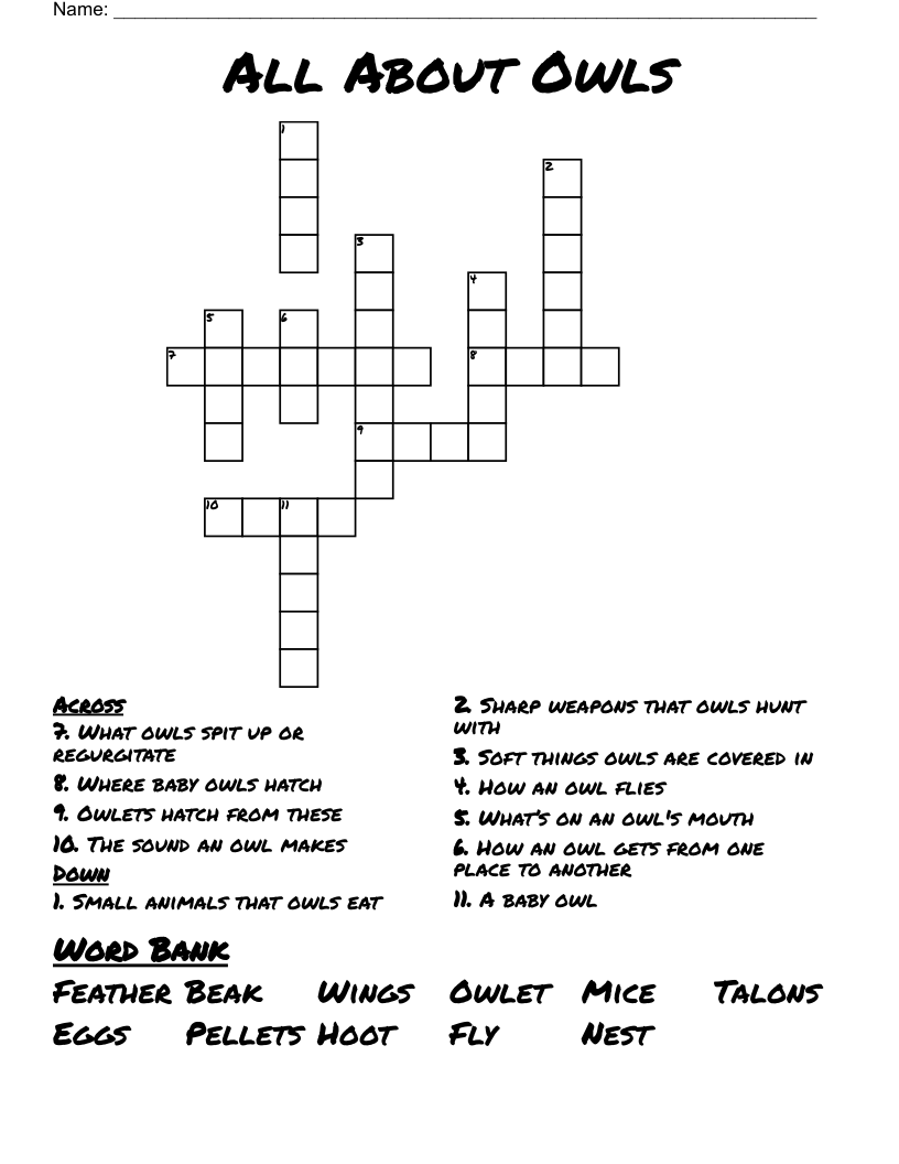 All About Owls Crossword