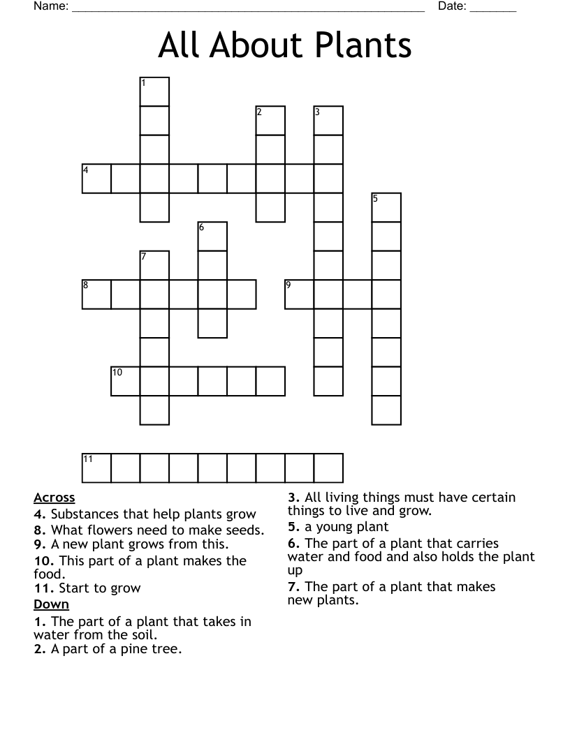 All About Plants Crossword