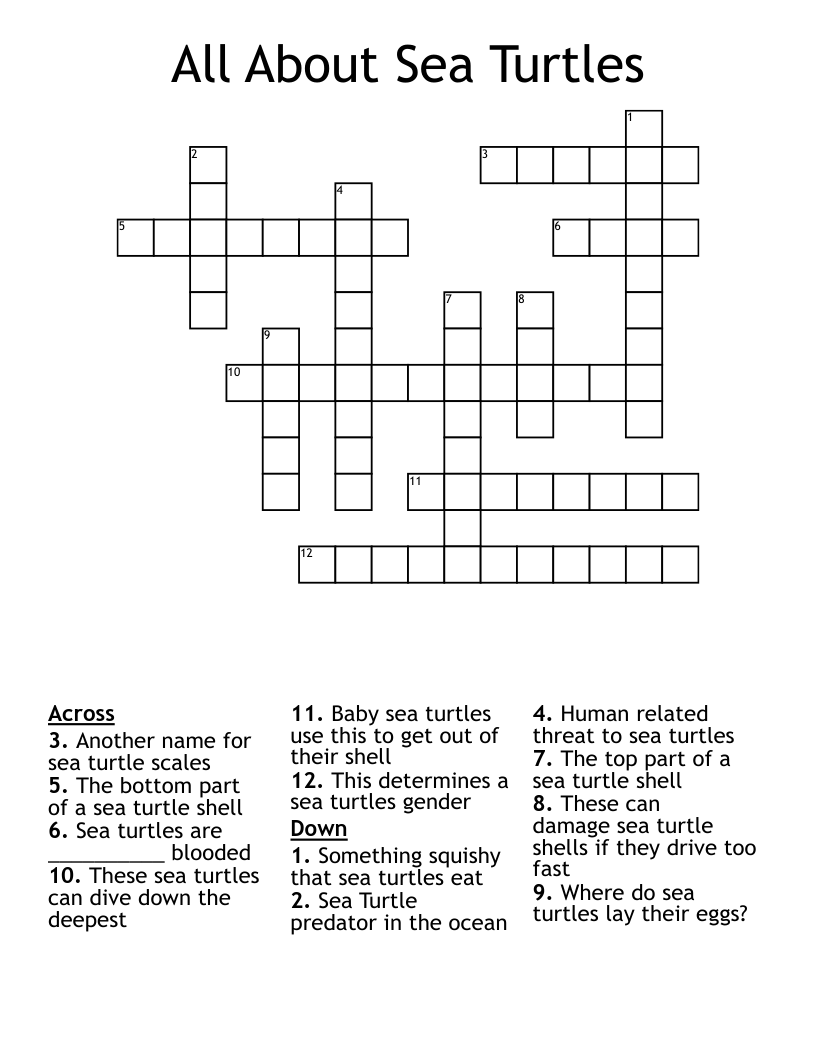 All About Sea Turtles  Crossword