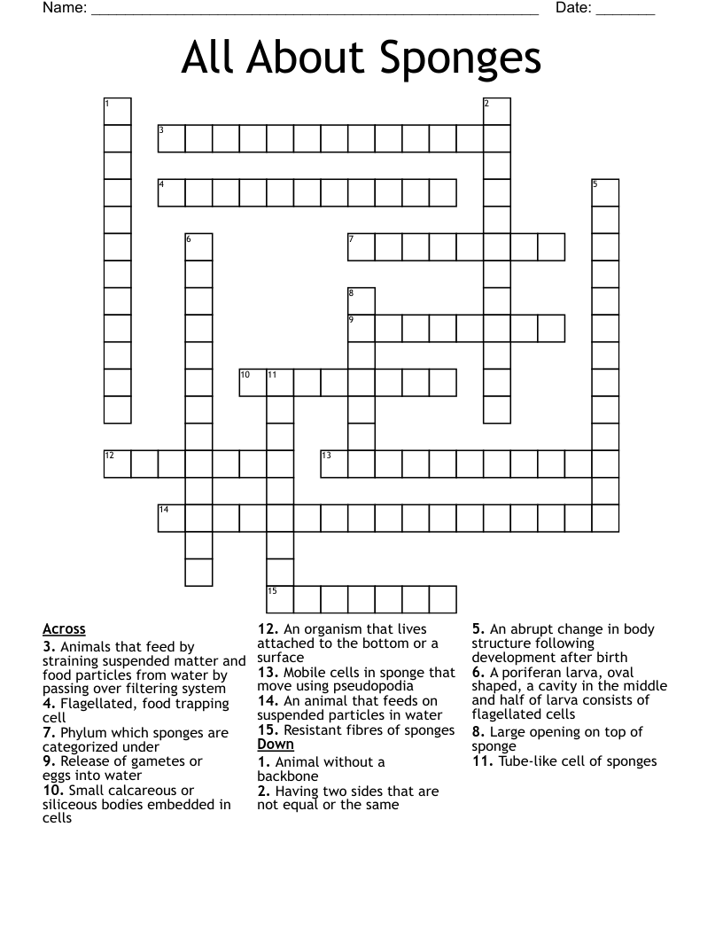 All About Sponges Crossword