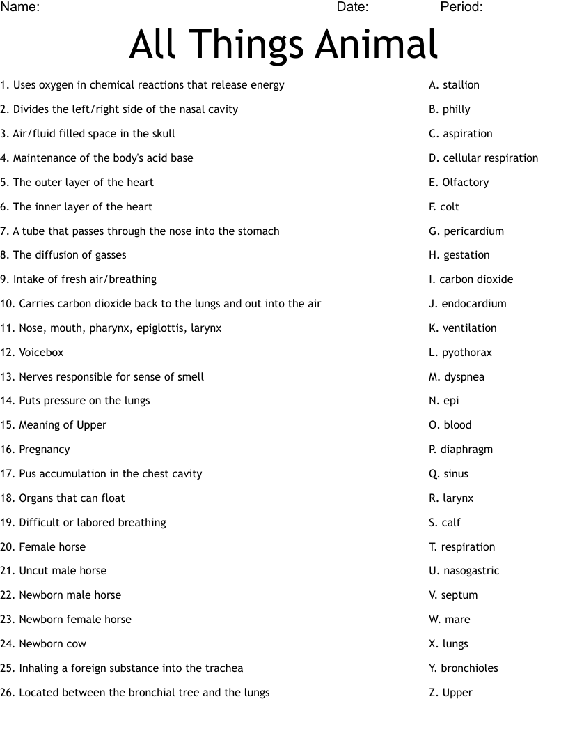 All Things Animal Worksheet