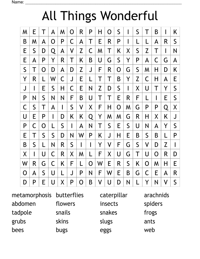 All Things Wonderful Word Search