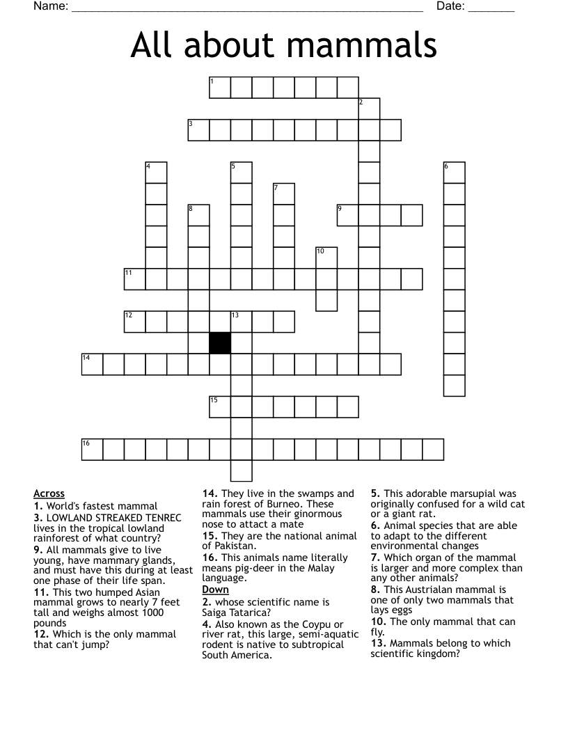 All about mammals Crossword