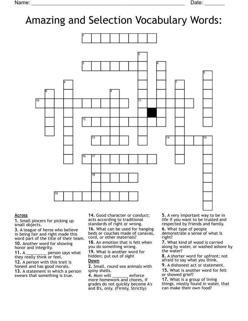 Amazing and Selection Vocabulary Words: Crossword