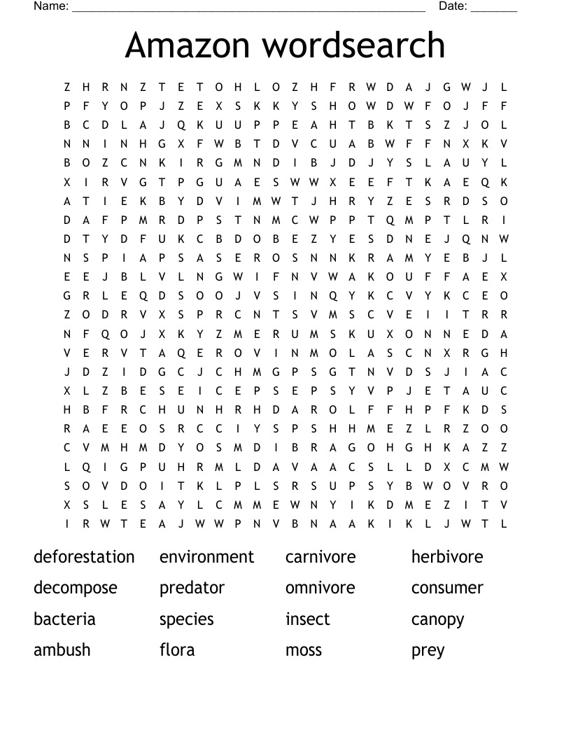 Amazon wordsearch